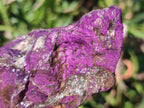 Natural Metallic Cobbed Purpurite Specimens x 12 From Erongo, Namibia - Toprock Gemstones and Minerals 