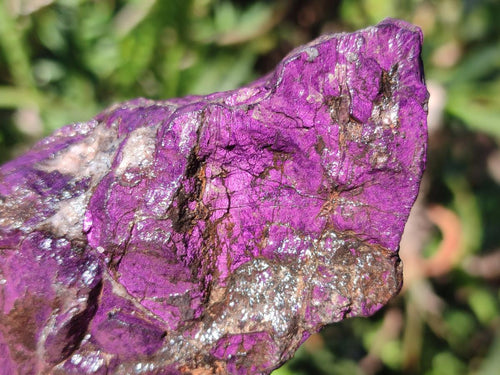 Natural Metallic Cobbed Purpurite Specimens x 12 From Erongo, Namibia - Toprock Gemstones and Minerals 