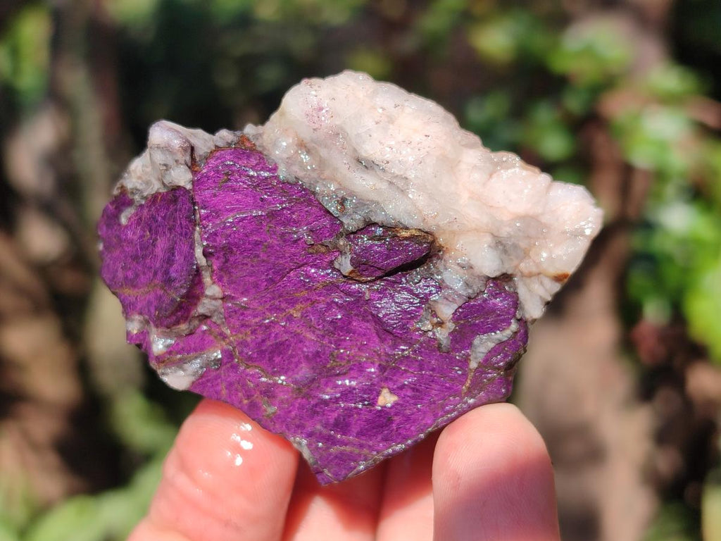 Natural Metallic Cobbed Purpurite Specimens x 12 From Erongo, Namibia - Toprock Gemstones and Minerals 