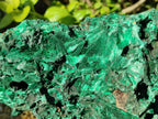 Natural Large Silky Malachite Specimen x 1 From Kasompe, Congo - Toprock Gemstones and Minerals 