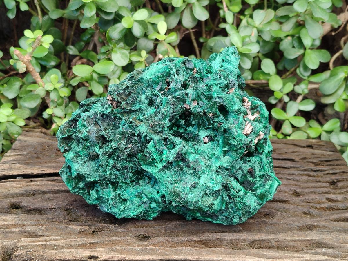 Natural Large Silky Malachite Specimen x 1 From Kasompe, Congo - Toprock Gemstones and Minerals 