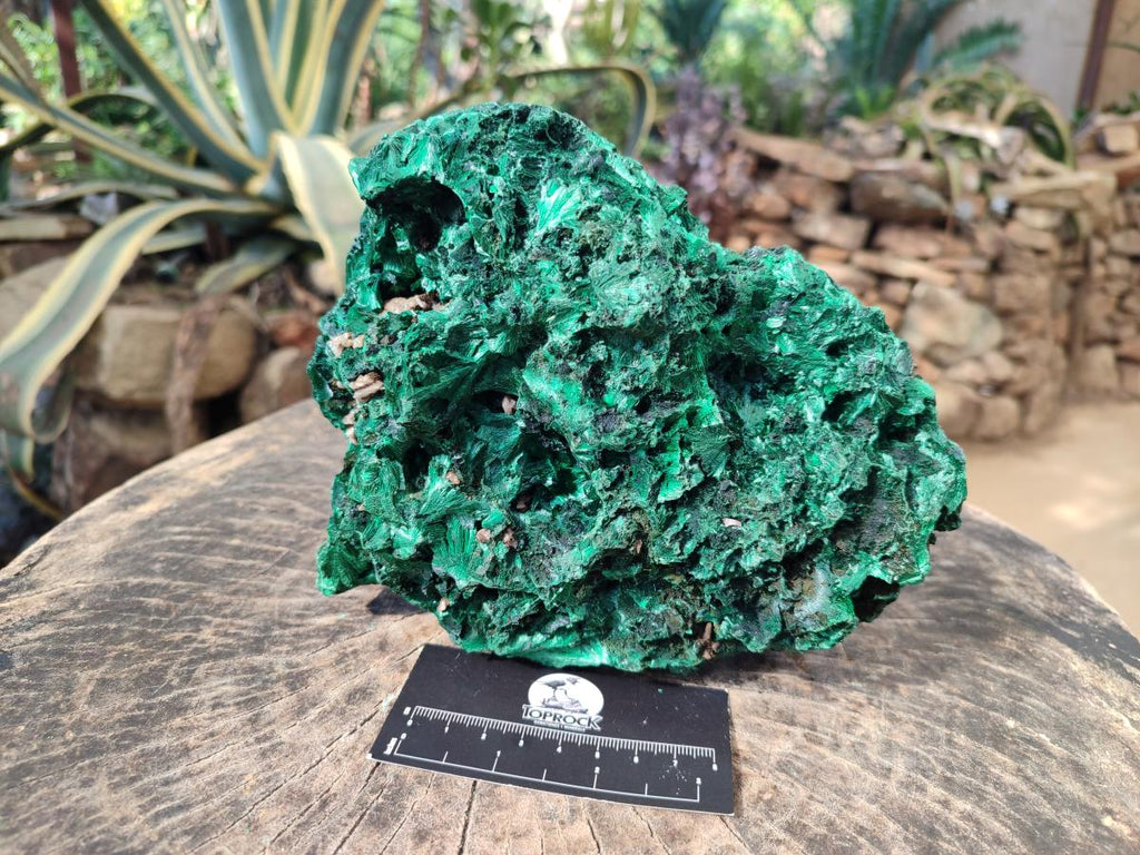 Natural Large Silky Malachite Specimen x 1 From Kasompe, Congo - Toprock Gemstones and Minerals 