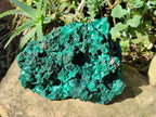 Natural Large Silky Malachite Specimen x 1 From Kasompe, Congo - Toprock Gemstones and Minerals 