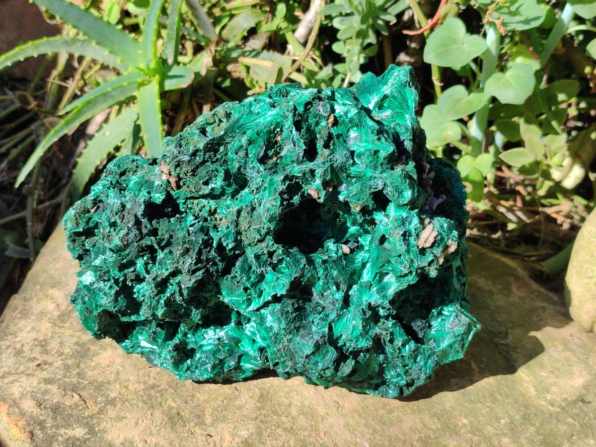 Natural Large Silky Malachite Specimen x 1 From Kasompe, Congo - Toprock Gemstones and Minerals 