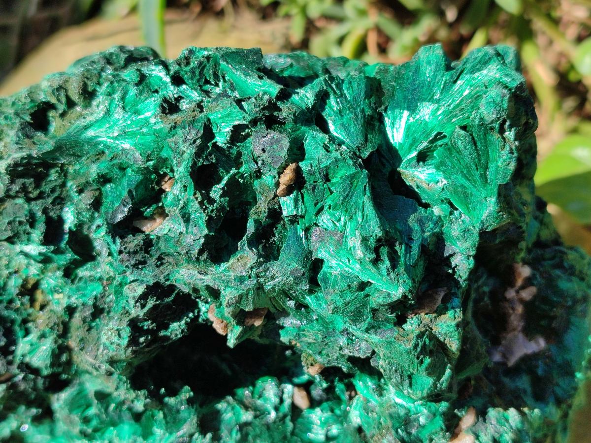 Natural Large Silky Malachite Specimen x 1 From Kasompe, Congo - Toprock Gemstones and Minerals 