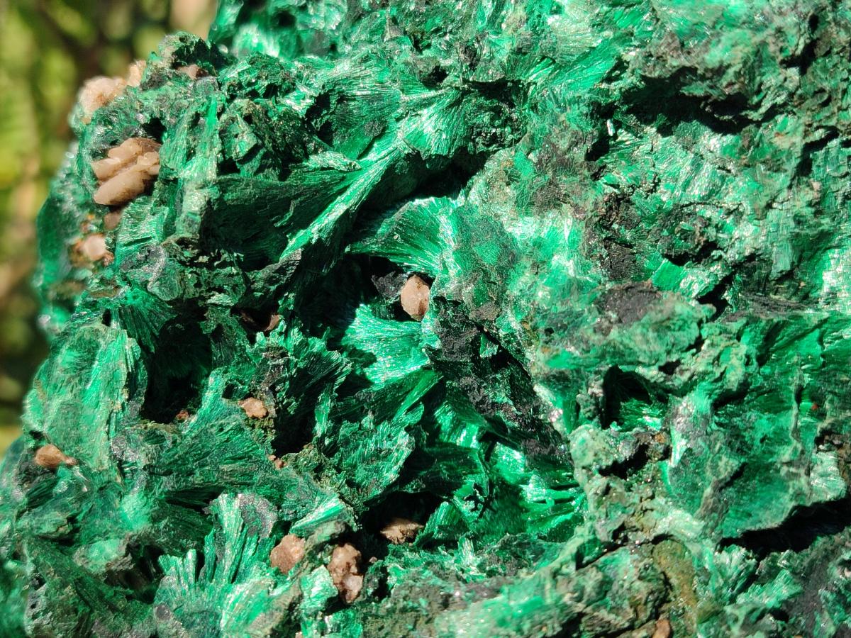 Natural Large Silky Malachite Specimen x 1 From Kasompe, Congo - Toprock Gemstones and Minerals 