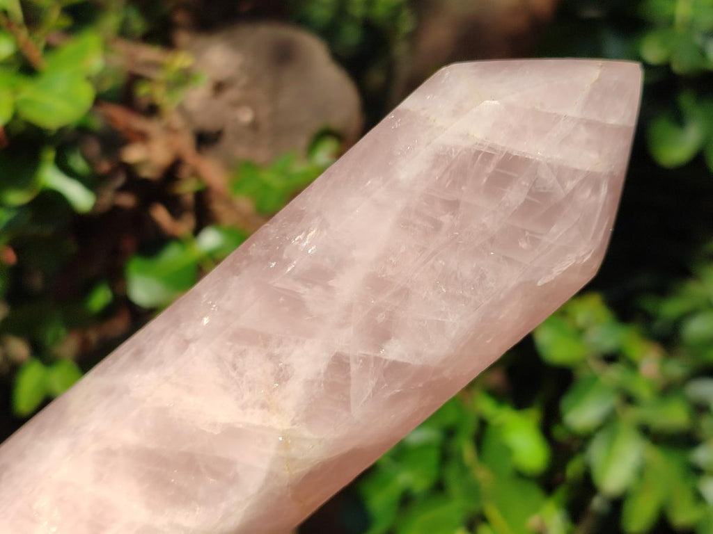 Polished Double Terminated Gemmy Rose Quartz Crystals x 2 From Madagascar - Toprock Gemstones and Minerals 