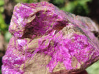 Natural Cobbed Stichtite Specimens x 3 From Barberton, South Africa - Toprock Gemstones and Minerals 