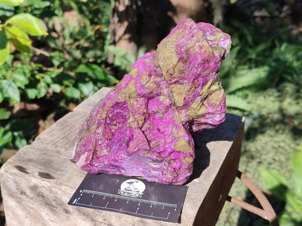 Natural Cobbed Stichtite Specimens x 3 From Barberton, South Africa - Toprock Gemstones and Minerals 