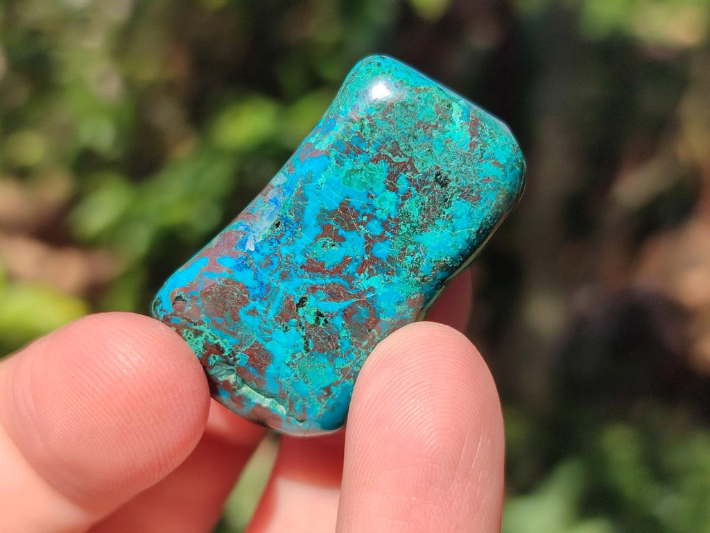 Polished Shattuckite Free Forms x 35 From Congo - Toprock Gemstones and Minerals 