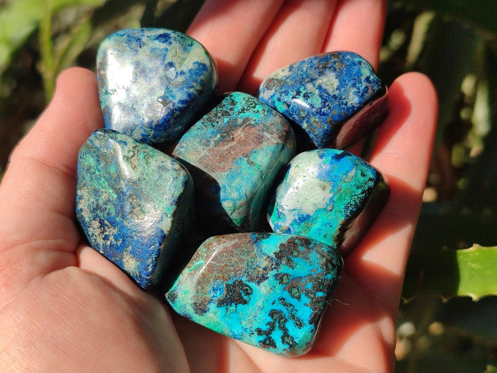 Polished Shattuckite Free Forms x 35 From Congo - Toprock Gemstones and Minerals 