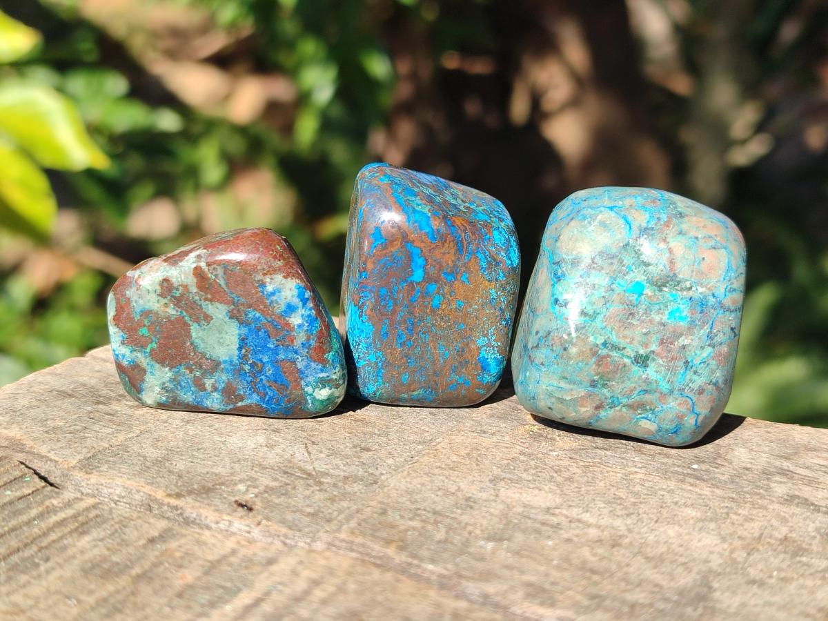 Polished Shattuckite Free Forms x 35 From Congo - Toprock Gemstones and Minerals 