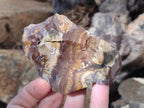 Natural Nguni Jasper Cobbed Specimens x 24 From Northern Cape, South Africa - Toprock Gemstones and Minerals 