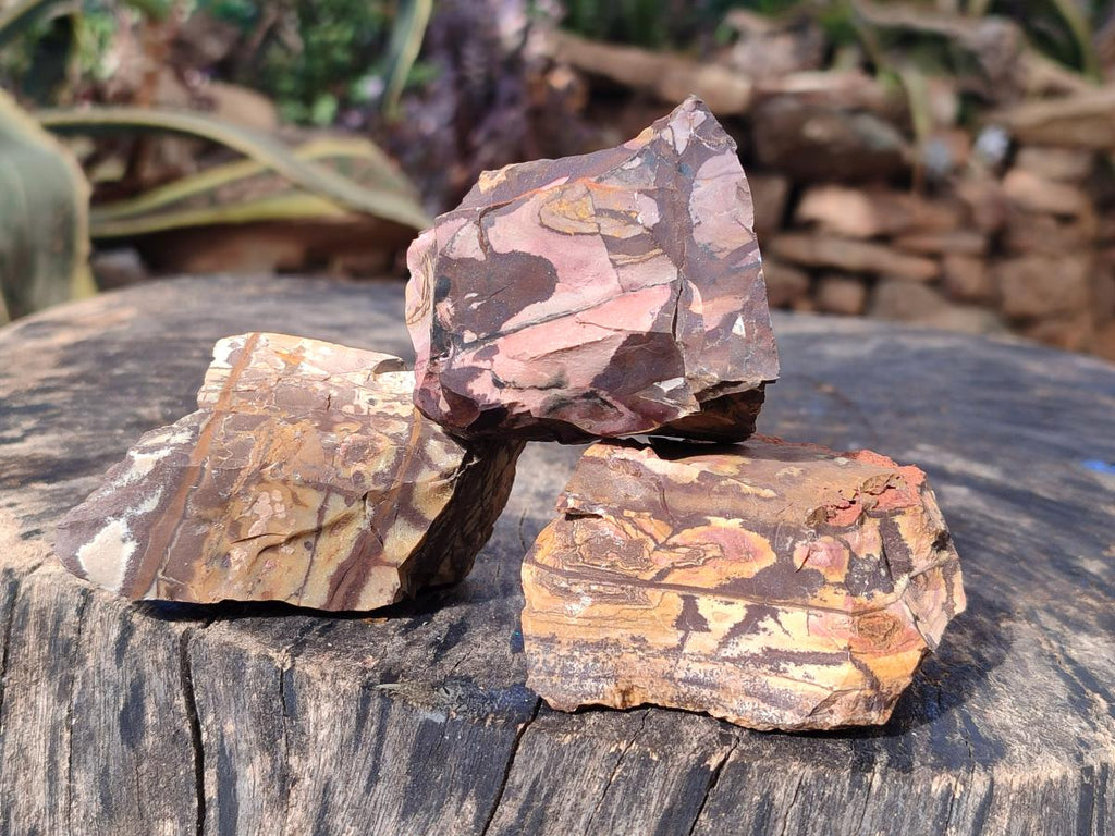 Natural Nguni Jasper Cobbed Specimens x 24 From Northern Cape, South Africa - Toprock Gemstones and Minerals 