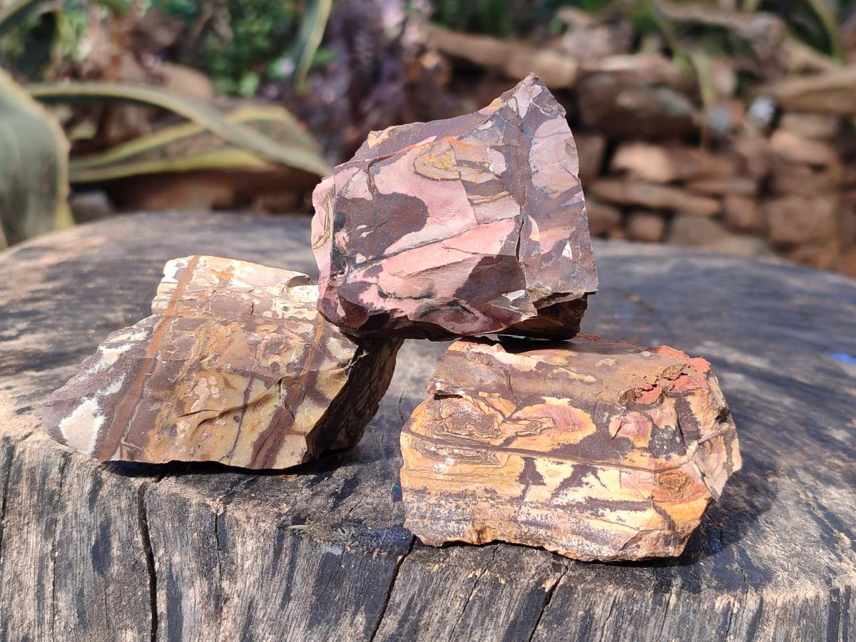 Natural Nguni Jasper Cobbed Specimens x 24 From Northern Cape, South Africa - Toprock Gemstones and Minerals 