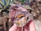 Natural Nguni Jasper Cobbed Specimens x 24 From Northern Cape, South Africa - Toprock Gemstones and Minerals 