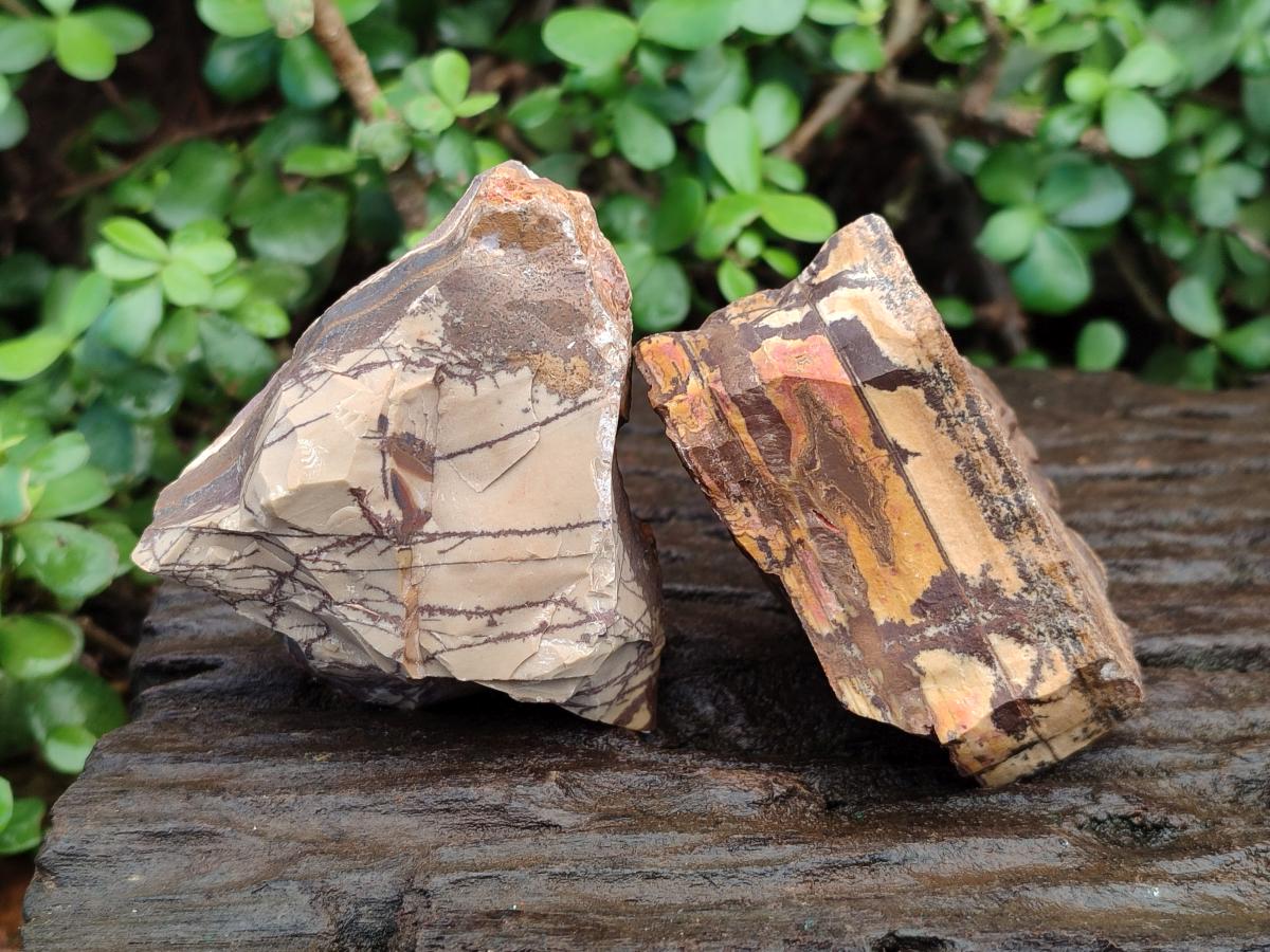 Natural Nguni Jasper Cobbed Specimens x 24 From Northern Cape, South Africa - Toprock Gemstones and Minerals 