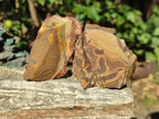 Natural Nguni Jasper Cobbed Specimens x 24 From Northern Cape, South Africa - Toprock Gemstones and Minerals 