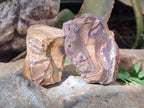Natural Nguni Jasper Cobbed Specimens x 24 From Northern Cape, South Africa - Toprock Gemstones and Minerals 