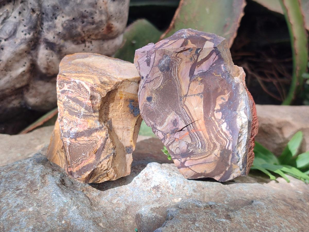 Natural Nguni Jasper Cobbed Specimens x 24 From Northern Cape, South Africa - Toprock Gemstones and Minerals 