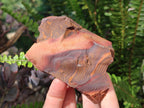 Natural Nguni Jasper Cobbed Specimens x 24 From Northern Cape, South Africa - Toprock Gemstones and Minerals 