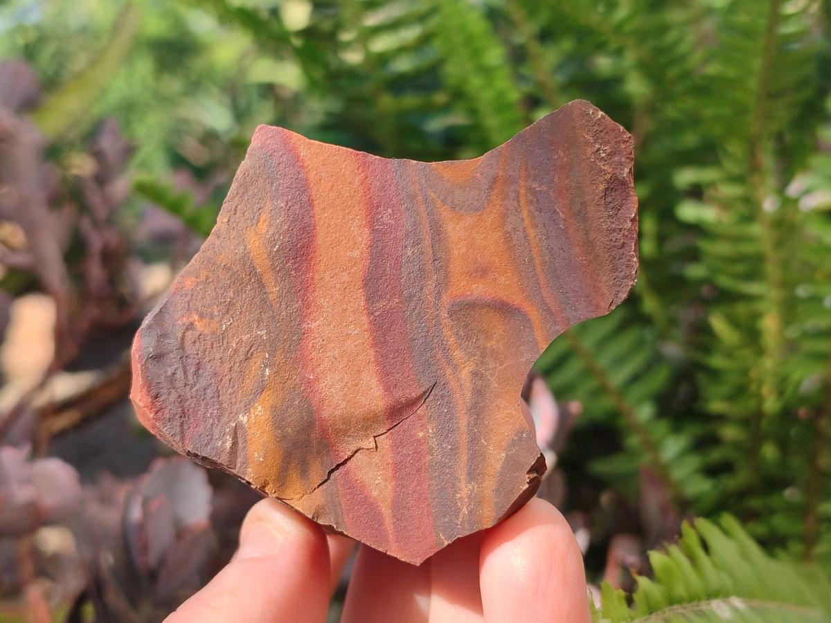 Natural Nguni Jasper Cobbed Specimens x 24 From Northern Cape, South Africa - Toprock Gemstones and Minerals 