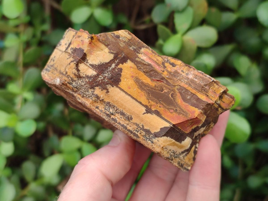 Natural Nguni Jasper Cobbed Specimens x 24 From Northern Cape, South Africa - Toprock Gemstones and Minerals 