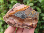 Natural Nguni Jasper Cobbed Specimens x 24 From Northern Cape, South Africa - Toprock Gemstones and Minerals 