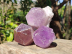 Natural Jacaranda Amethyst Single Crystals x 12 From Mumbwa, Zambia - Toprock Gemstones and Minerals 