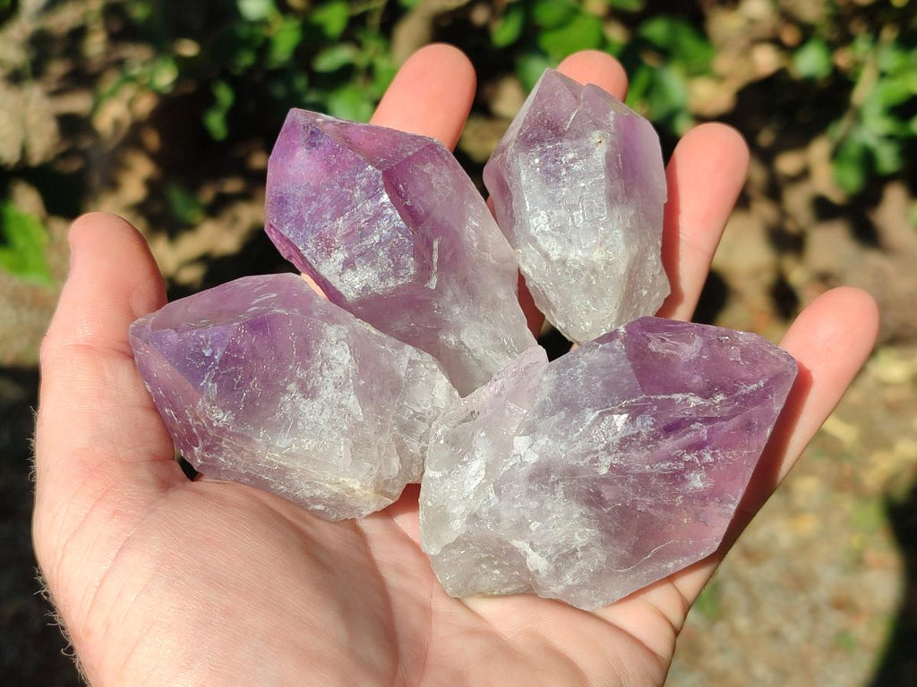 Natural Jacaranda Amethyst Single Crystals x 12 From Mumbwa, Zambia - Toprock Gemstones and Minerals 