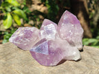 Natural Jacaranda Amethyst Single Crystals x 12 From Mumbwa, Zambia - Toprock Gemstones and Minerals 