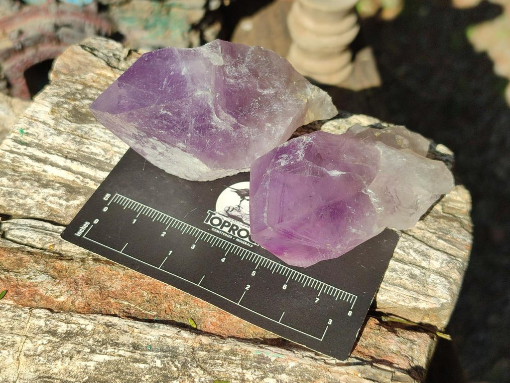 Natural Jacaranda Amethyst Single Crystals x 12 From Mumbwa, Zambia - Toprock Gemstones and Minerals 