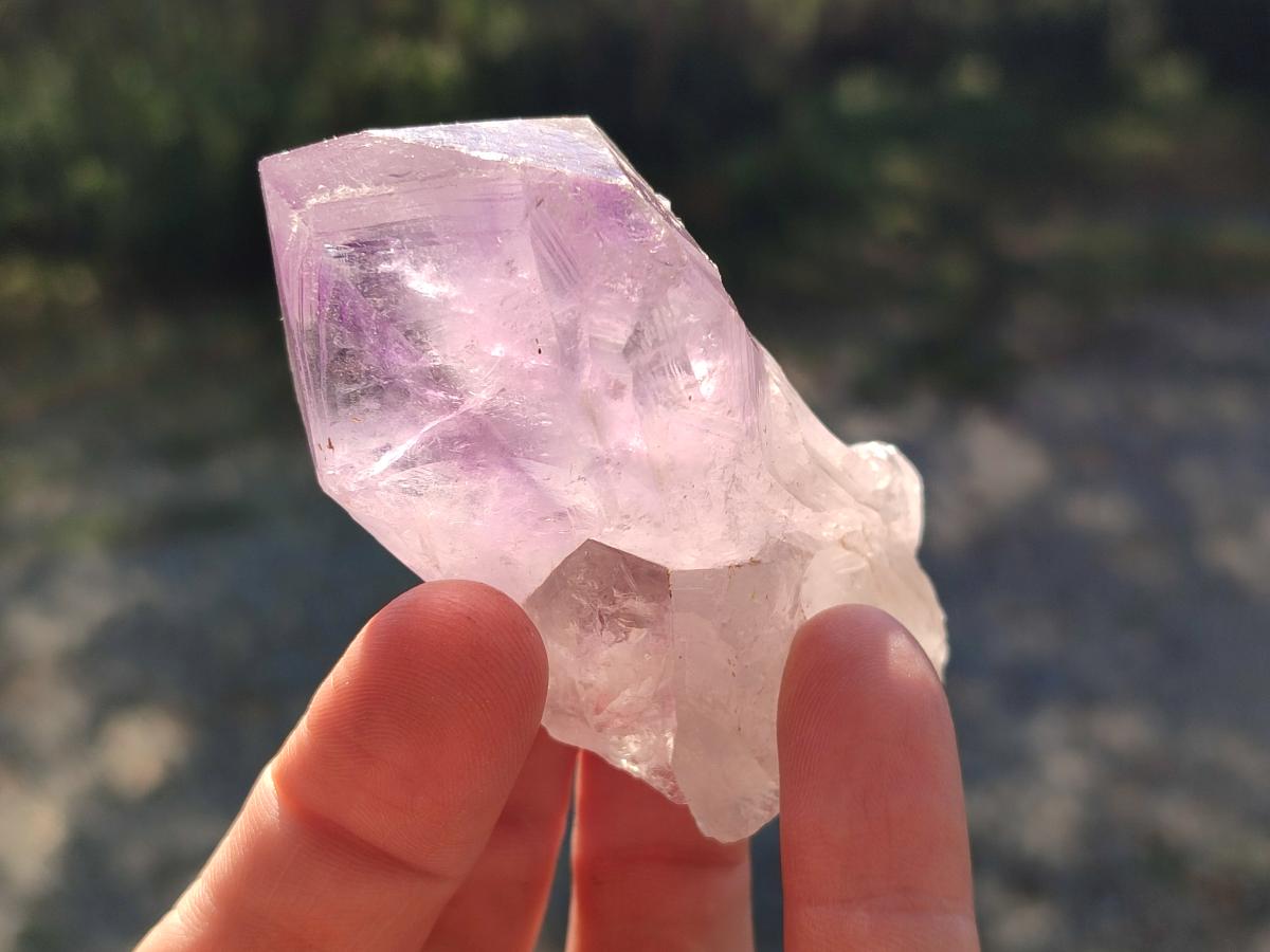 Natural Jacaranda Amethyst Single Crystals x 12 From Mumbwa, Zambia - Toprock Gemstones and Minerals 