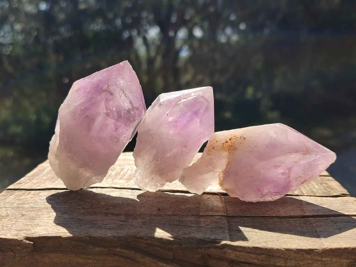 Natural Jacaranda Amethyst Single Crystals x 12 From Mumbwa, Zambia - Toprock Gemstones and Minerals 