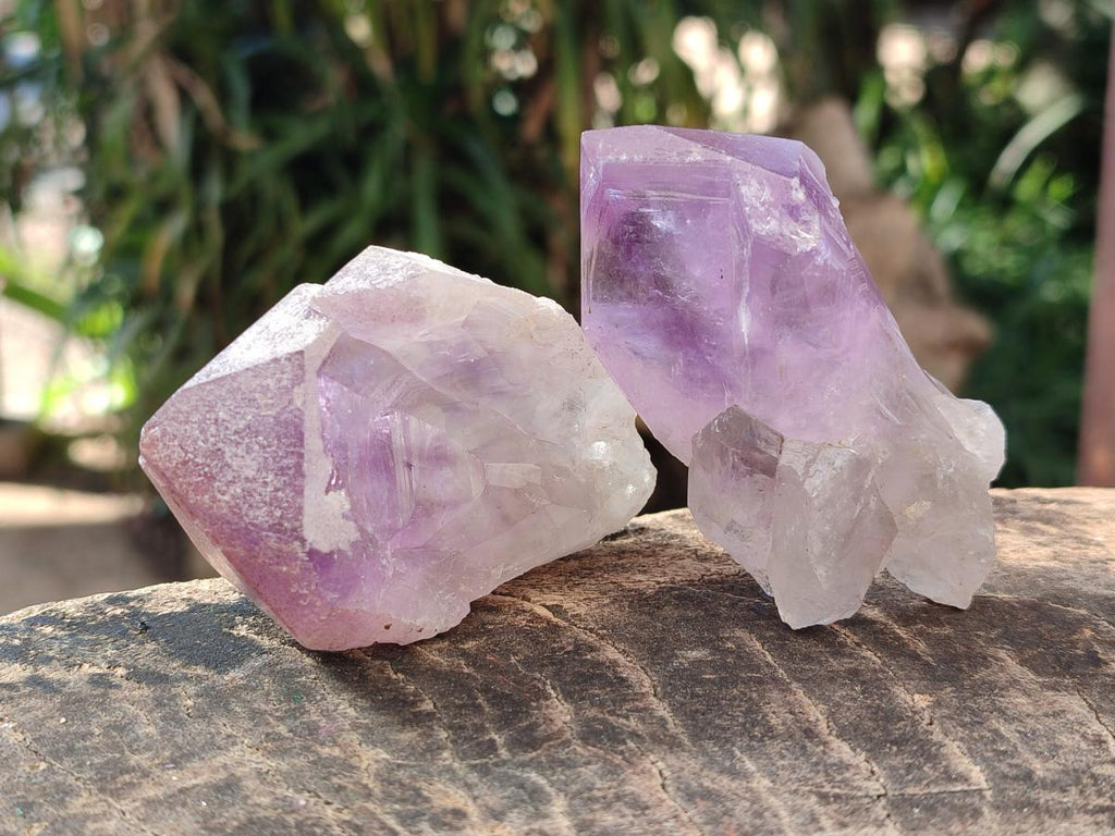 Natural Jacaranda Amethyst Single Crystals x 12 From Mumbwa, Zambia - Toprock Gemstones and Minerals 