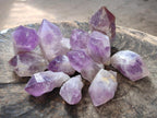 Natural Jacaranda Amethyst Single Crystals x 12 From Mumbwa, Zambia - Toprock Gemstones and Minerals 