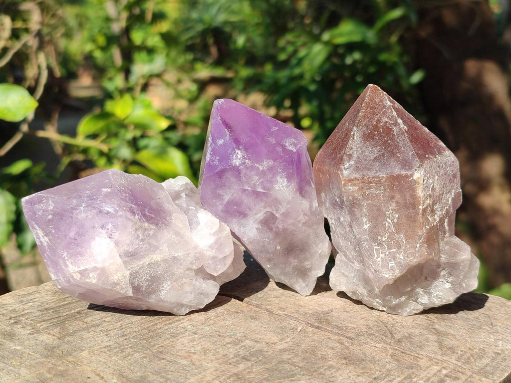 Natural Jacaranda Amethyst Single Crystals x 12 From Mumbwa, Zambia - Toprock Gemstones and Minerals 