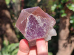 Natural Jacaranda Amethyst Single Crystals x 12 From Mumbwa, Zambia - Toprock Gemstones and Minerals 