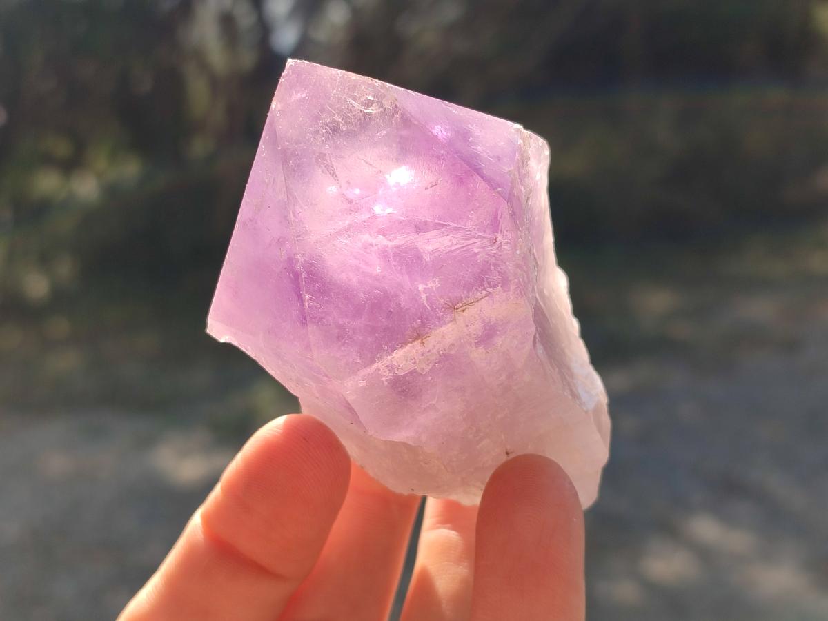 Natural Jacaranda Amethyst Single Crystals x 12 From Mumbwa, Zambia - Toprock Gemstones and Minerals 