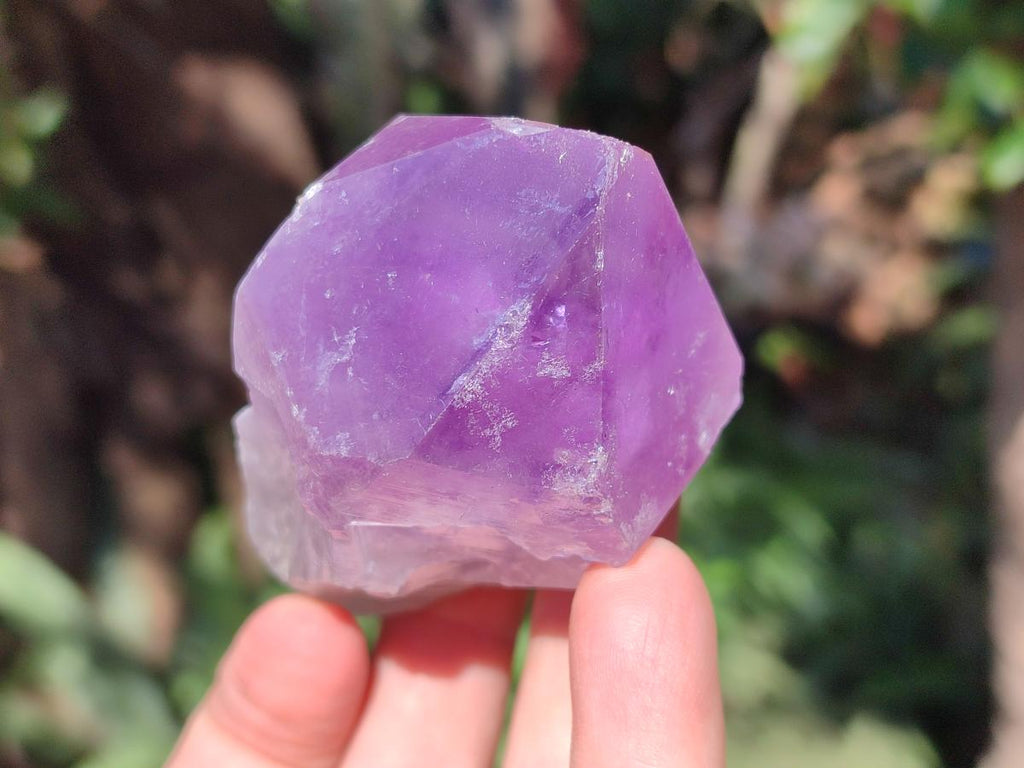 Natural Jacaranda Amethyst Single Crystals x 12 From Mumbwa, Zambia - Toprock Gemstones and Minerals 