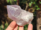 Natural Jacaranda Amethyst Single Crystals x 12 From Mumbwa, Zambia - Toprock Gemstones and Minerals 