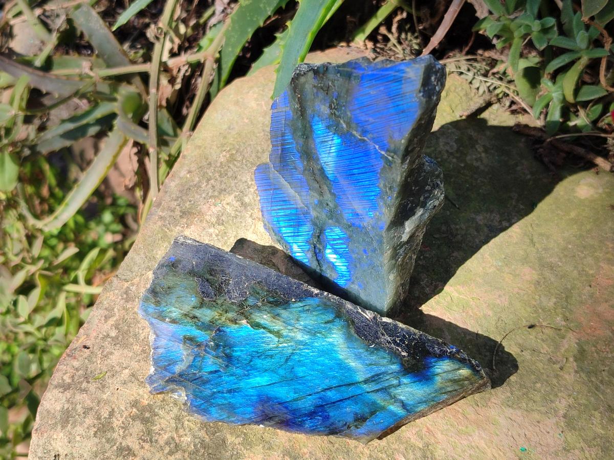Polished One Side Labradorite Plates x 24 From Madagascar - Toprock Gemstones and Minerals 