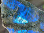 Polished One Side Labradorite Plates x 24 From Madagascar - Toprock Gemstones and Minerals 