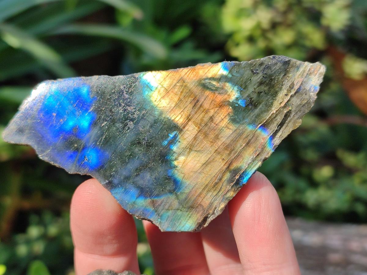 Polished One Side Labradorite Plates x 24 From Madagascar - Toprock Gemstones and Minerals 