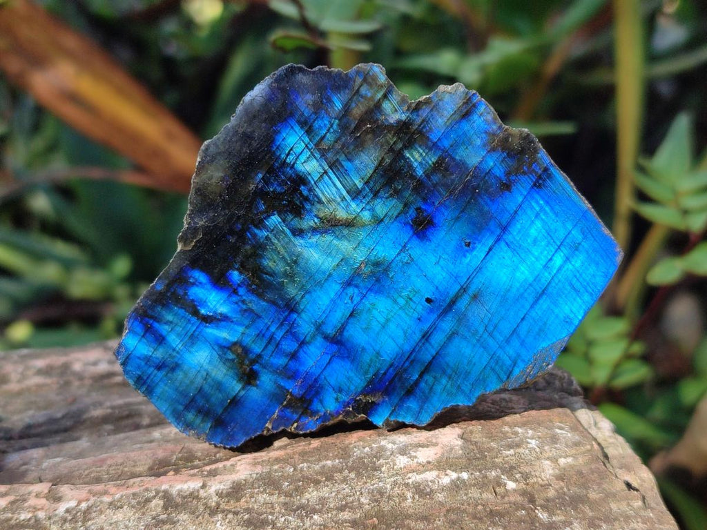 Polished One Side Labradorite Plates x 24 From Madagascar - Toprock Gemstones and Minerals 