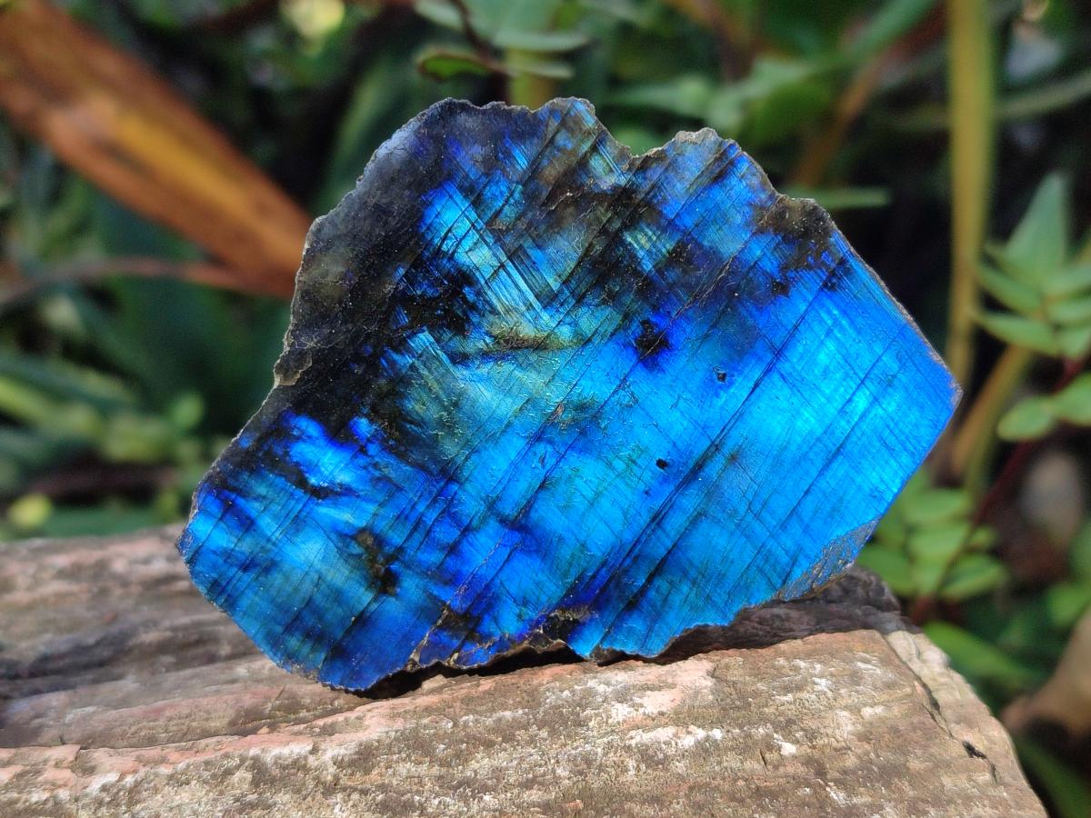 Polished One Side Labradorite Plates x 24 From Madagascar - Toprock Gemstones and Minerals 