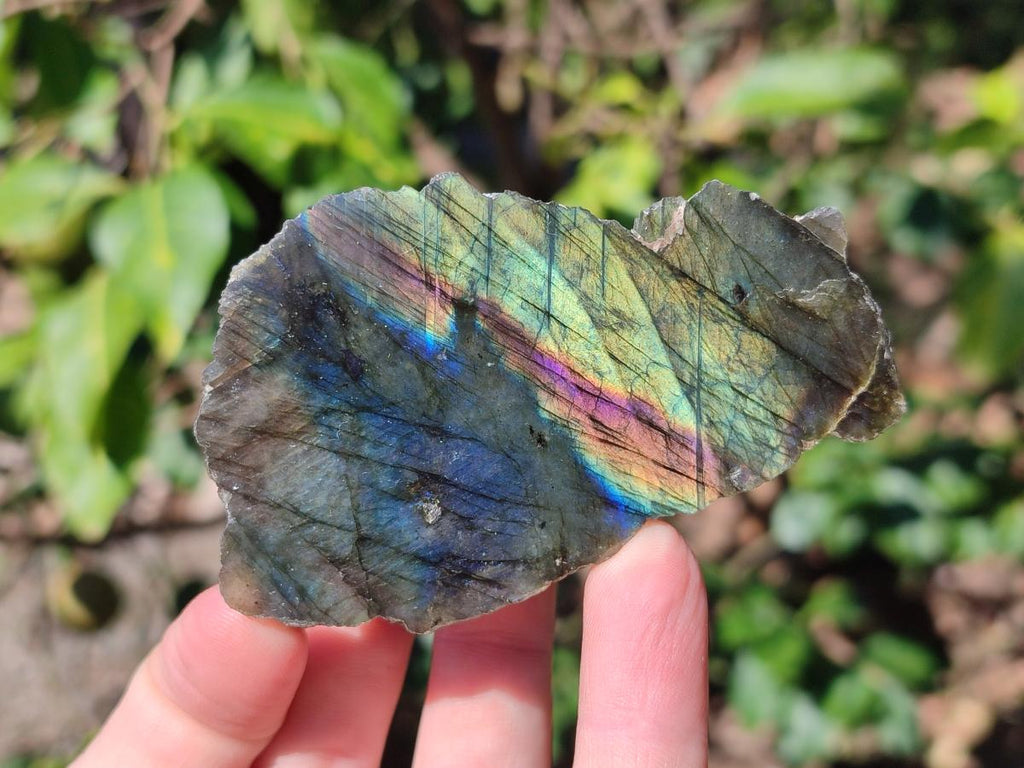 Polished One Side Labradorite Plates x 24 From Madagascar - Toprock Gemstones and Minerals 