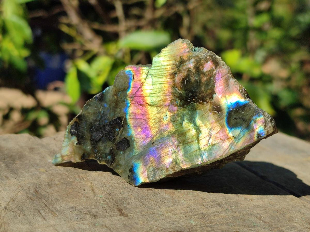 Polished One Side Labradorite Plates x 24 From Madagascar - Toprock Gemstones and Minerals 