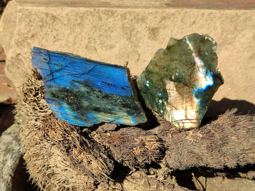 Polished One Side Labradorite Plates x 24 From Madagascar - Toprock Gemstones and Minerals 
