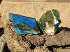 Polished One Side Labradorite Plates x 24 From Madagascar - Toprock Gemstones and Minerals 